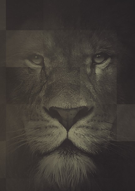 « FONDUE'S NIGHT » - Loisirs