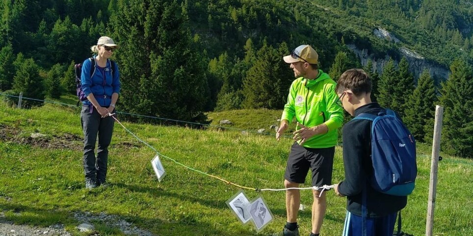 Et si les pierres étaient vivantes? - Enquête géo-botanique - Leisure activities