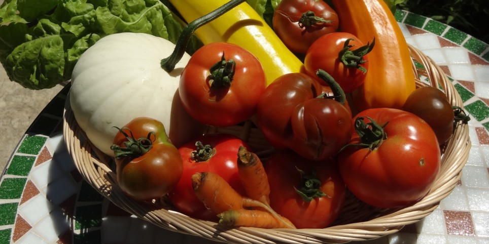 Jardiner en permaculture - Module 5 - Reproduire ses plantes - Conserver sa production - Formations