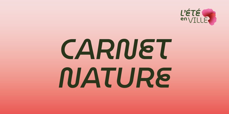 Carnet nature - Le Vieux-Bourg comme vous ne l’avez jamais vu ! - Workshop e stage