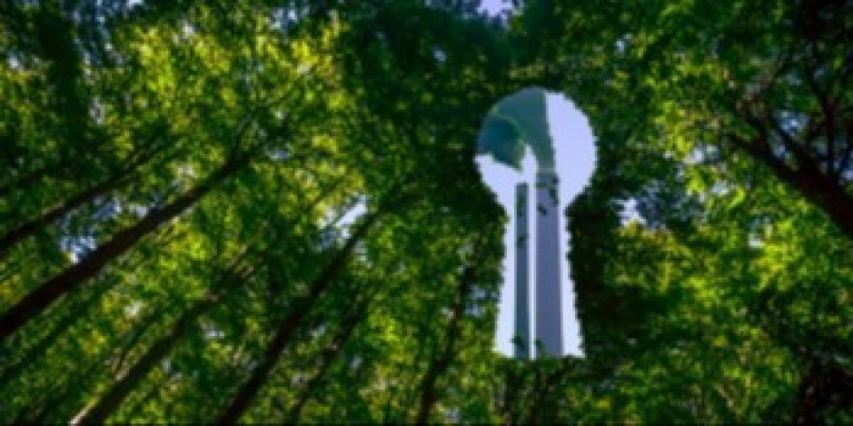 Masterclass : Les labels et certifications pour une garde-robe engagée (DIY ou non) - Workshop e stage