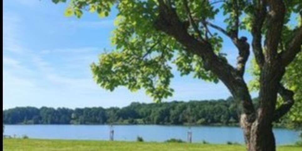 Lac de Luby : après-midi récréative, canoë et randonnée - Leisure activities