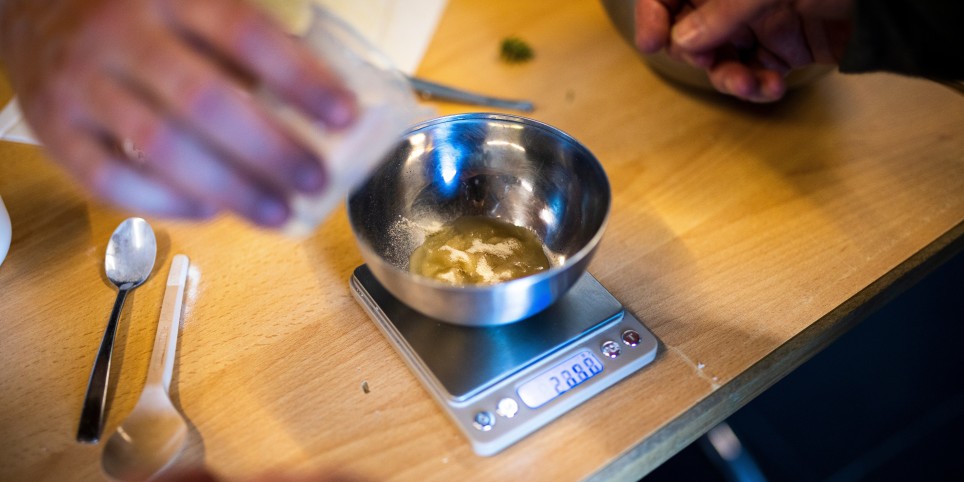 Les vertus de nos forêts - Workshops und Praktika