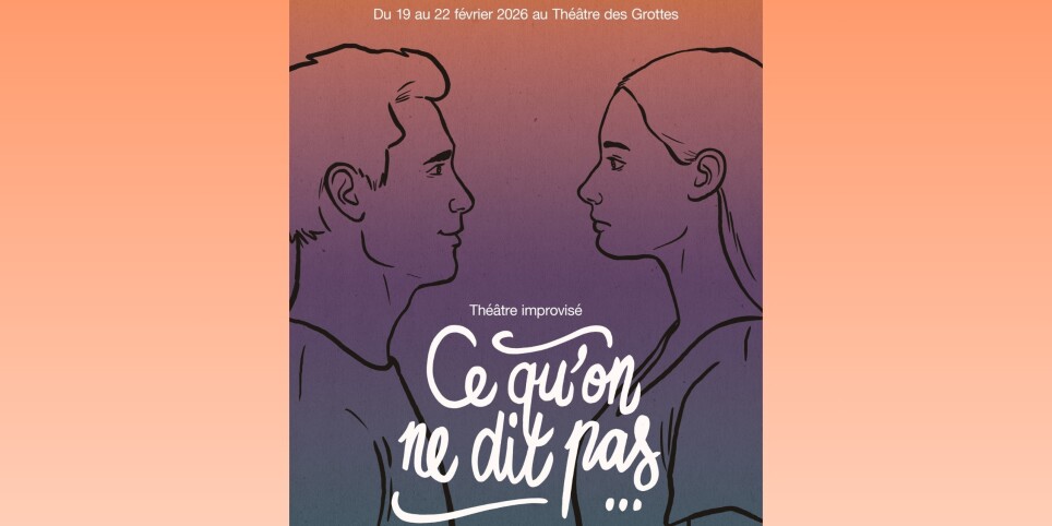 Ce qu'on ne dit pas - Umorismo e commedia