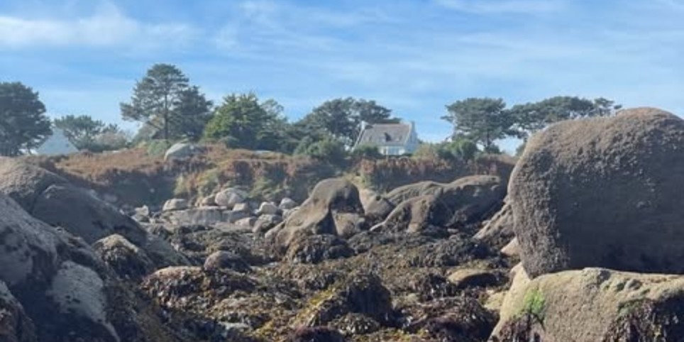 Stage algues & cuisine en Bretagne - COMPLET - Liste d'attente - Workshops und Praktika