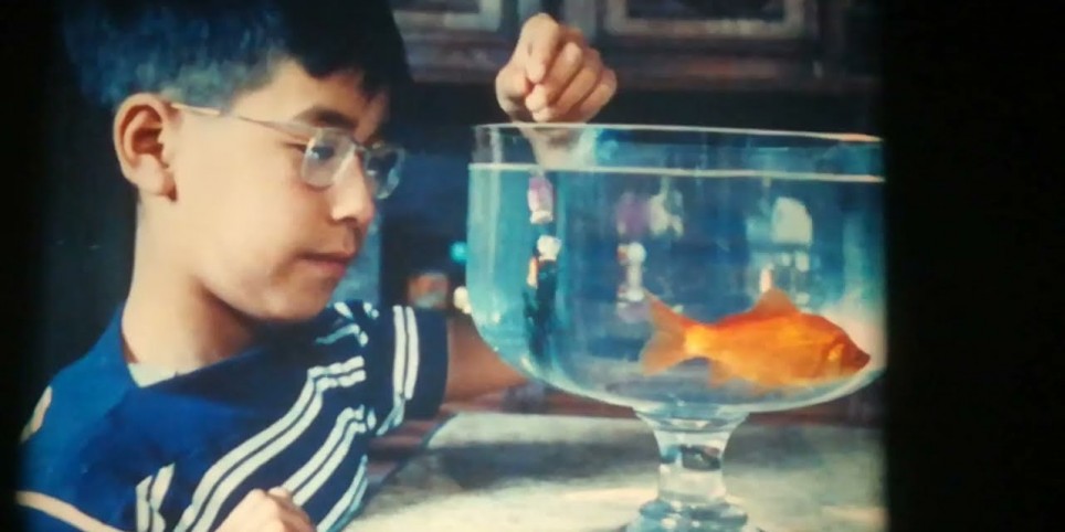 P comme Popcorn - Cinema