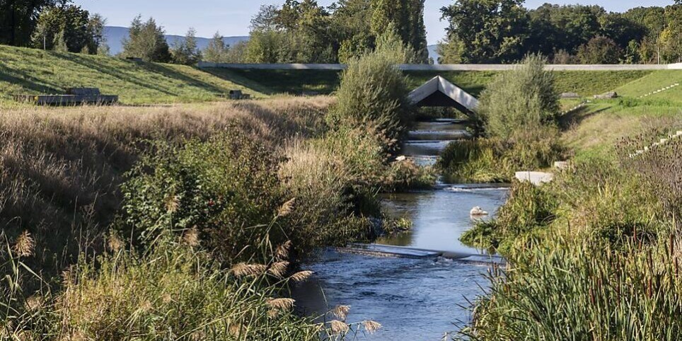 Immersion dans les biotopes de l'Aire et spectacle de danse "A l'aune" - Balades et visites