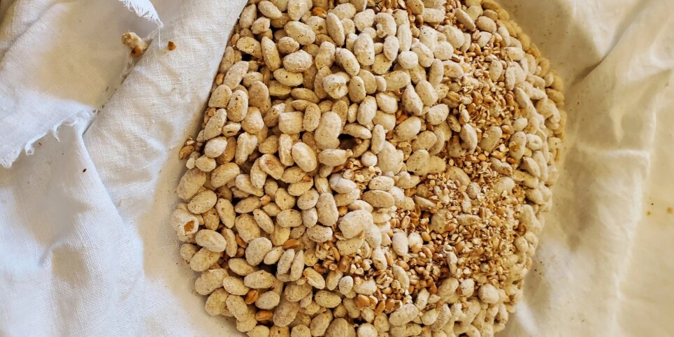 Immersion Koji : Apprendre à cultiver le Koji pour le miso et le shoyu - Talleres y pasantías