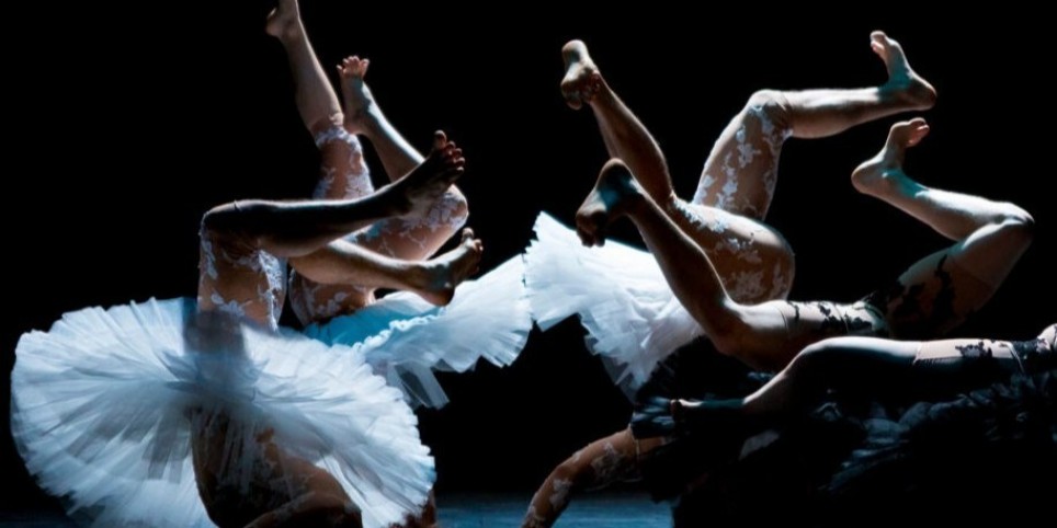 Spectacle "Le lac des cygnes" - Workshops and courses