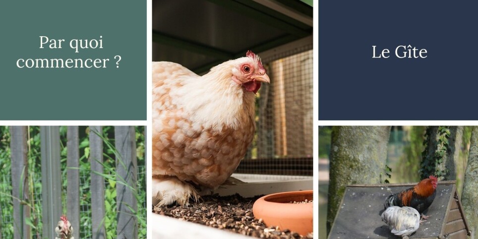 Accueillir des poules chez soi - Ateliers et stages