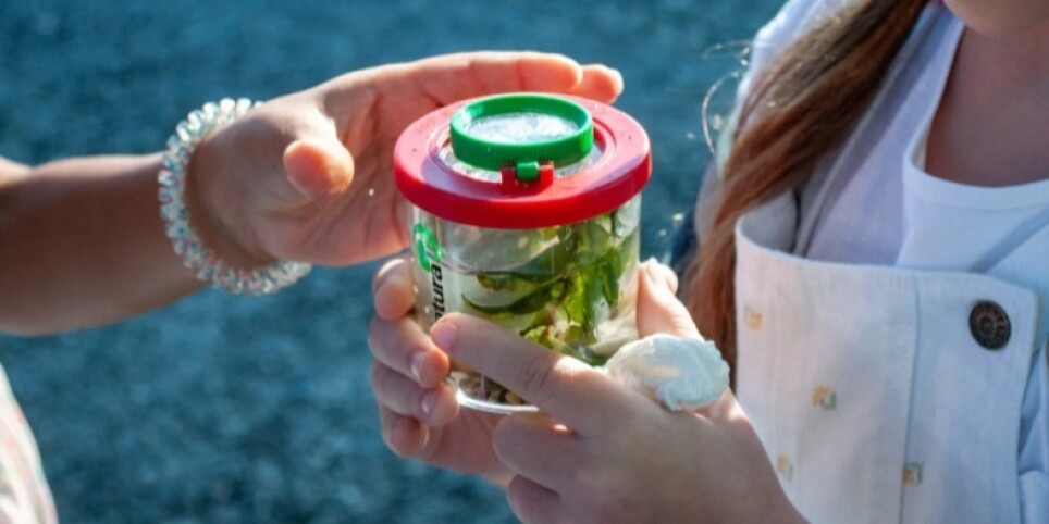 Exposition “Duchamp au lac” - Vernissage des travaux des élèves des écoles de Confignon et Bernex - Expos et musées