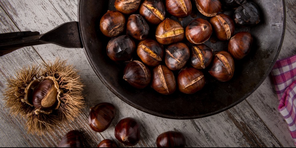 Bienvenue à la Brisolée - Famille