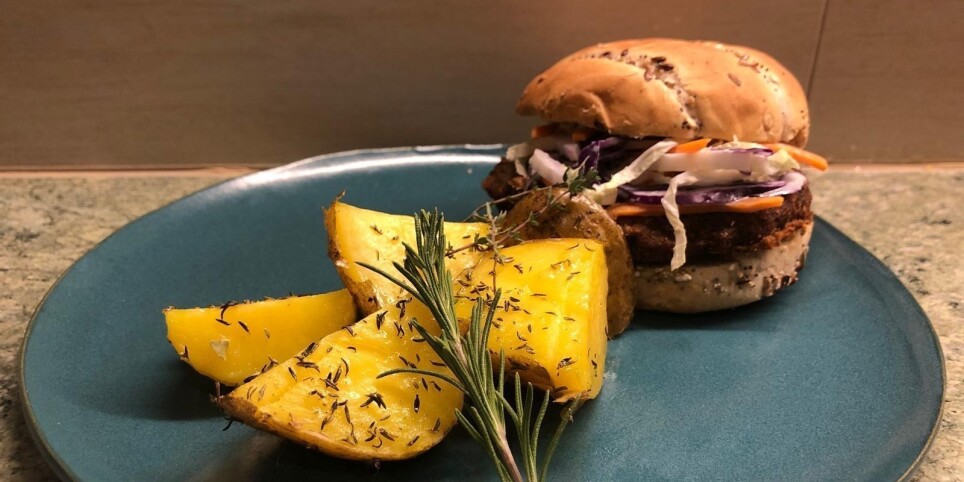 Autour de l'Okara - V2 - Ateliers et stages