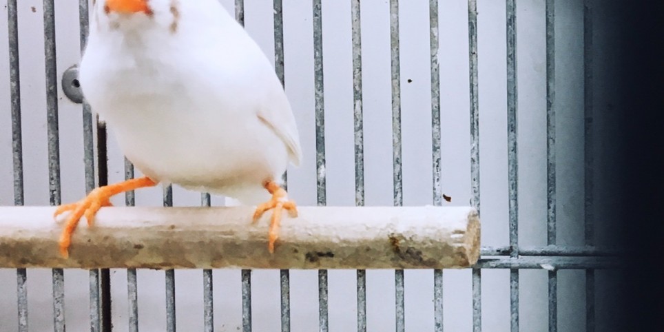 Rien ne me sépare de la merde qui nous entoure - Theater und Bühnenkunst