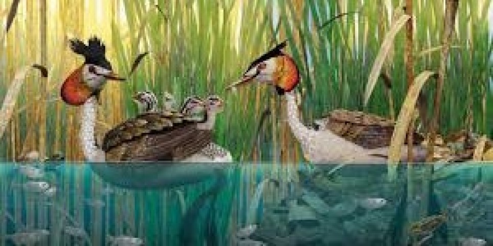 Ciné-mini - "Bonjour le monde VF" - Cinéma