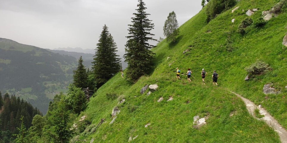 Diablement trail - Initiation à la course en montagne - Freizeitbeschäftigungen