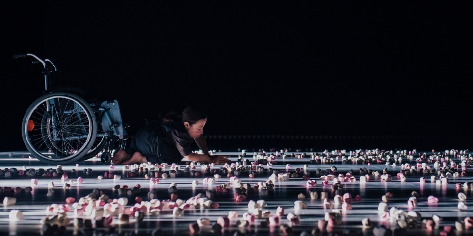 Chiara Bersani — Sottobosco - Danse