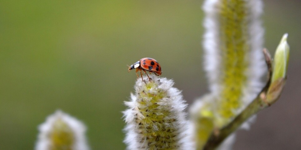 Ateliers 6-8 ans de 9h30 à 11h30 - L'éveil de la nature - Famille