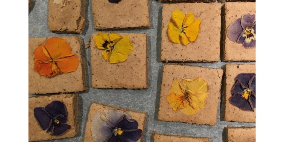 La Reconnexion au Végétal - Workshop e stage