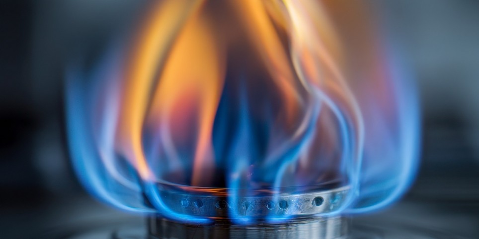 Physiscope - L'énergie - Workshops and courses