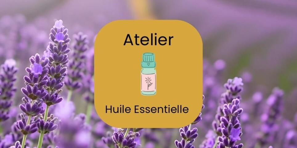 Atelier huiles essentielles - Workshops und Praktika