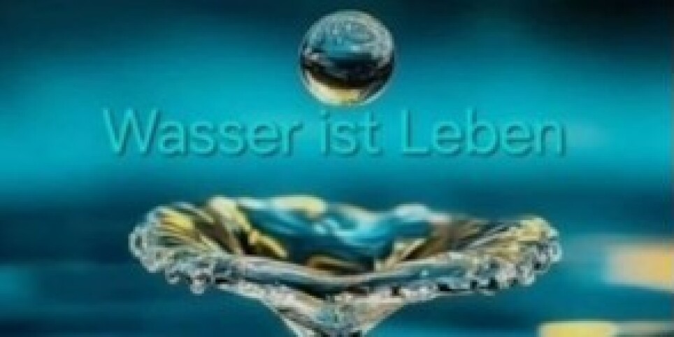 Lifestyle Meeting Live - Konferenzen