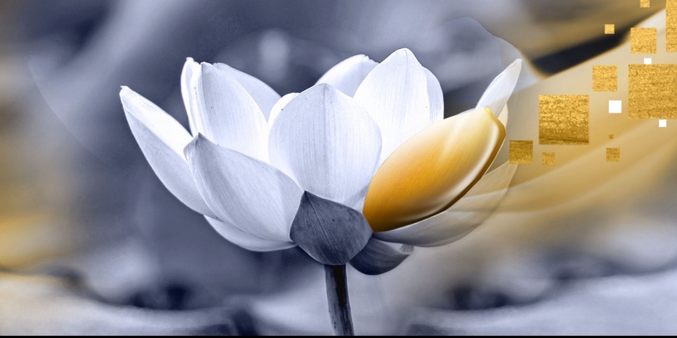 Referat Finanz & Sozialsystem St.Gallen - Formazioni