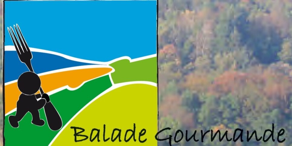 Balade Gourmande de Bonvillars - Paseos y visitas