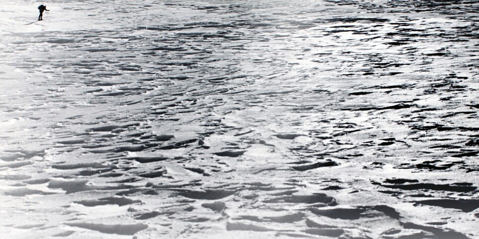 Screening and discussion: The mountain of giants - Manuella Maury - Conferences