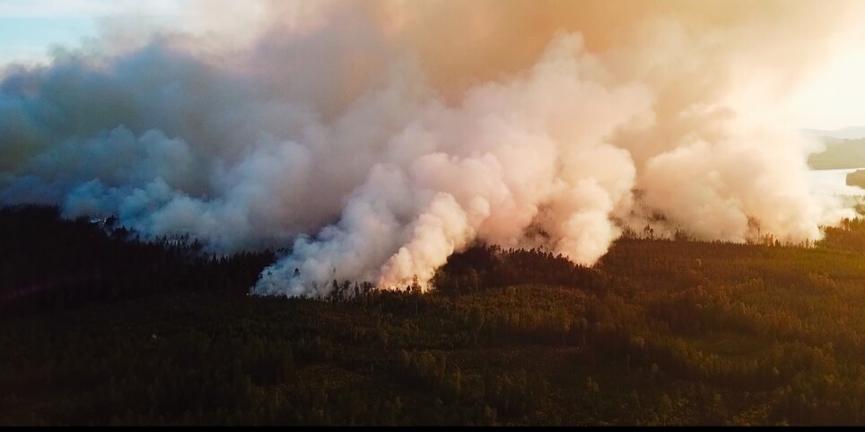 Festival Winterthur -  Fire, Water, Earth, Air - Cinema
