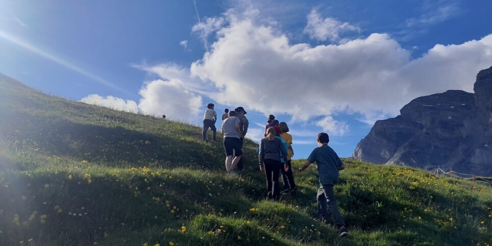 Les cailloux qui décoiffent le temps -  Randonnée géologique - Leisure activities