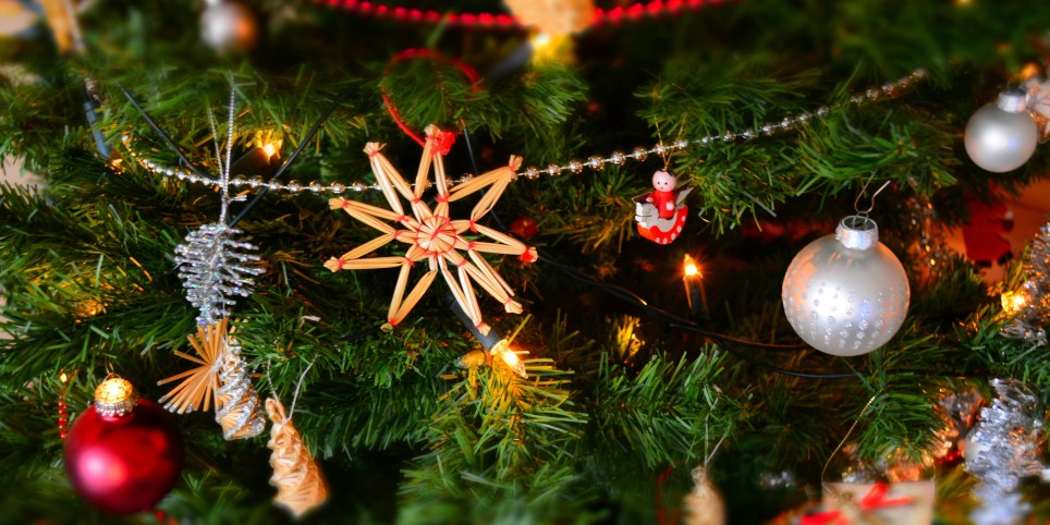 Sopar de Nadal - Culture and shows