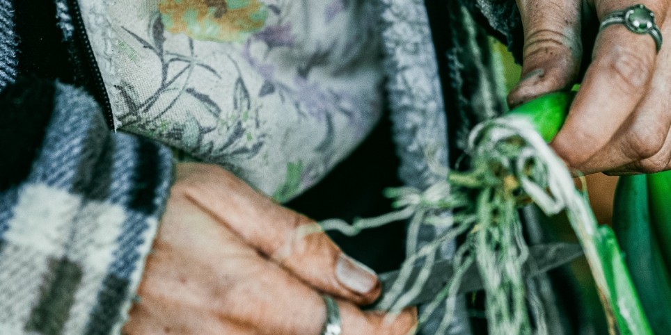 Graine d’Helvète - Cinéma