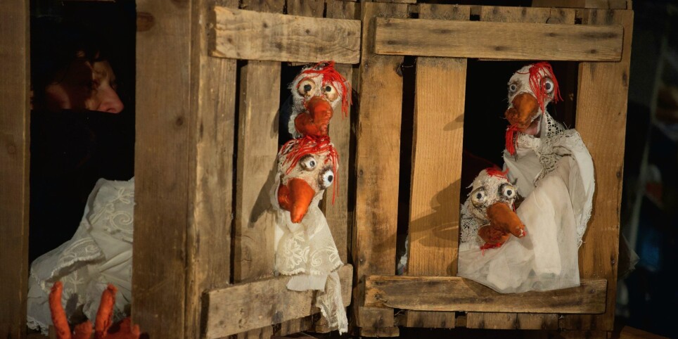 La Zone Nono - Têtes dans le sac - Culture et spectacles