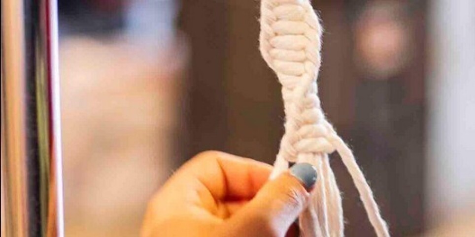 Atelier Macramé - Suspension - Ateliers et stages