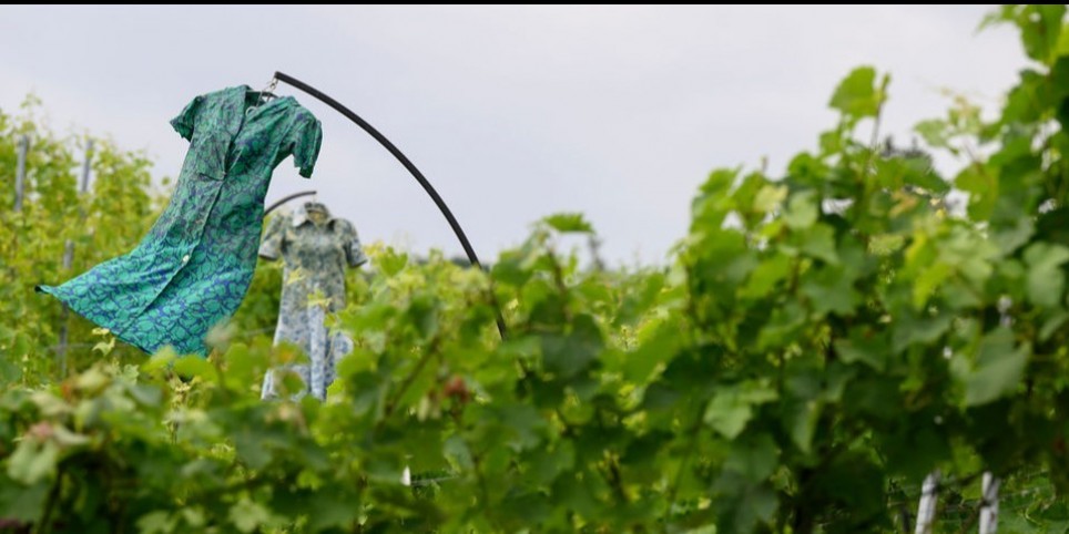 La Folle Semaine 2026 - Jeudi - Concerts