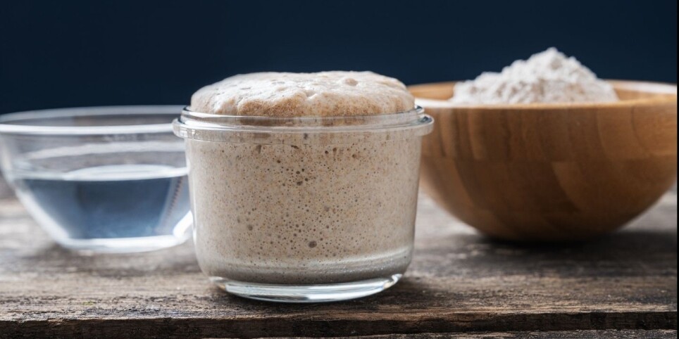 Atelier levain - Training courses