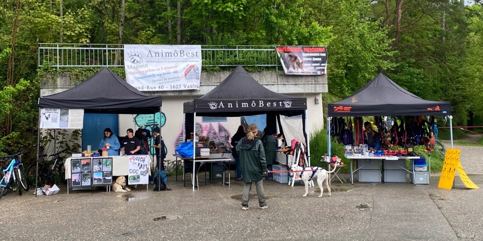 Rallye canin Mario the Kart Dog - Sport