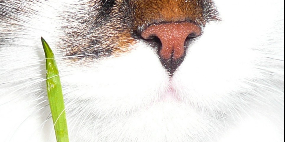 Séduction - Théâtre et arts vivants