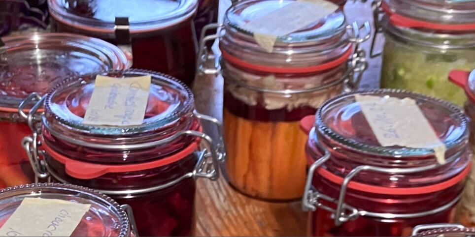 Atelier – Lacto-fermentation des légumes - Ateliers et stages