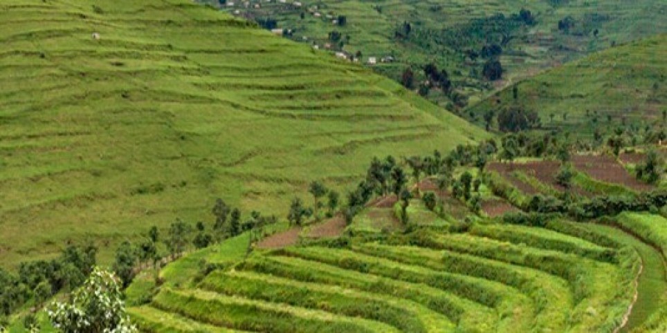 Voyage au Rwanda (conférence à 360°) - Conférences