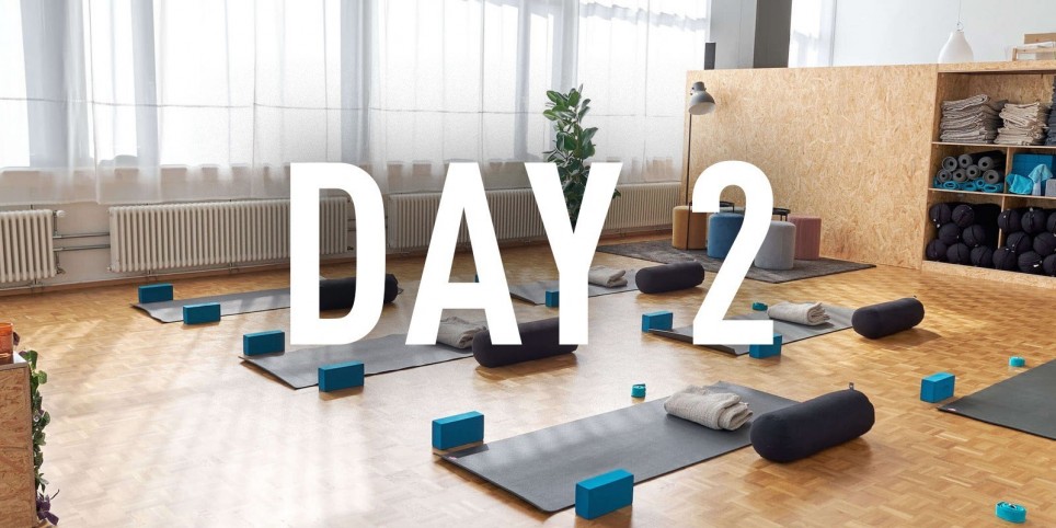 DAY 2 - Integration: Balance in Action - Workshops and courses