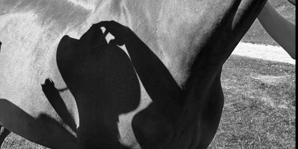 Rugby Night - Svaghi