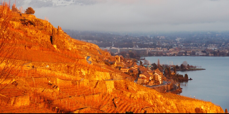 Léman Spirits Festival 2026 - Loisirs