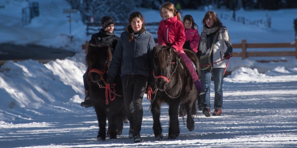 Matinée avec les poneys - Loisirs