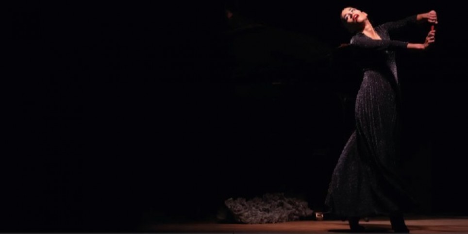 Atelier Flamenco en Famille - Formazioni