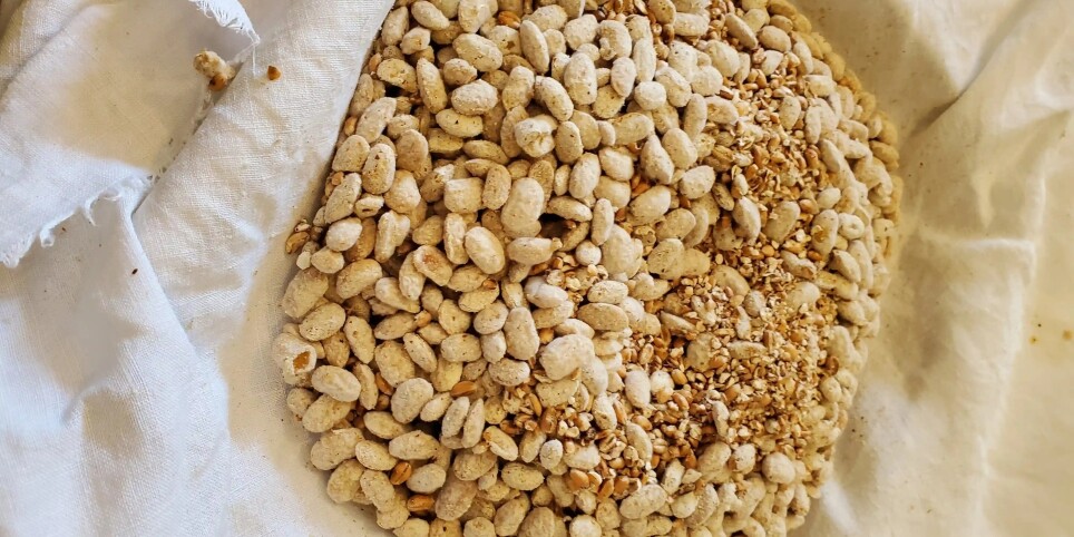 Immersion Koji : Apprendre à cultiver le Koji pour le miso et le shoyu - Ateliers et stages