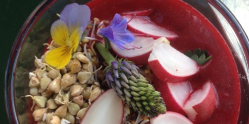 Graines de Vitalité - Ateliers et stages