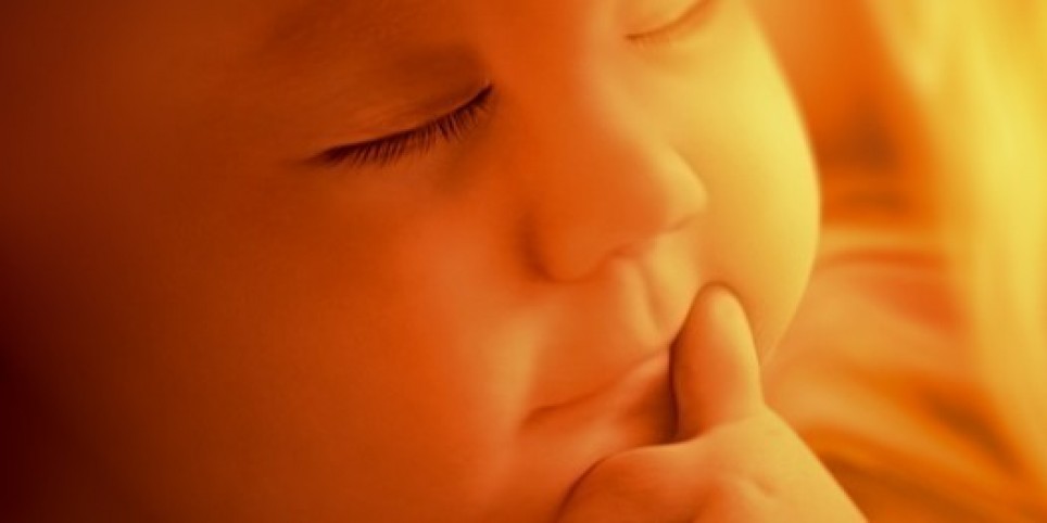 Expérience de naissance imminente (conférence) - Conférences