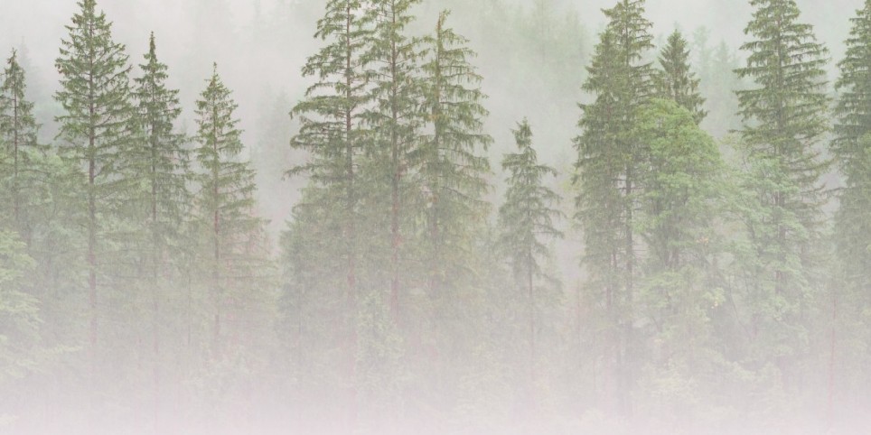 NE | Cérémonie du souvenir 2026 - Familie